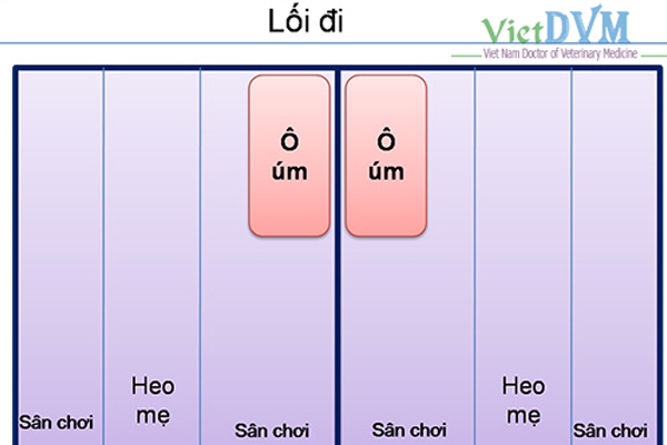 vietphuong-um-heo-trong-mua-lanh-3