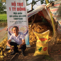 vietphuonghanam-315-trieu-tien-ho-tro-giong-da-den-voi-ba-con-trong-thang-5-2020-015